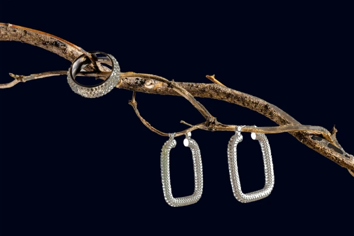 Silver ring and earrings on a branch